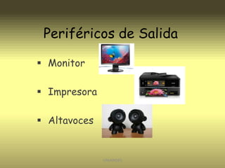 Periféricos de Salida
 Monitor

 Impresora
 Altavoces

UNIANDES

 