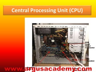 Central Processing Unit (CPU) 
 