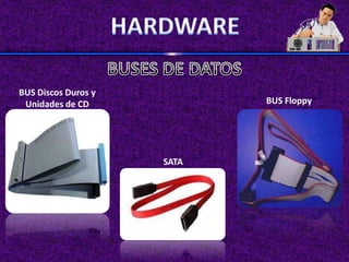 BUS Discos Duros y
 Unidades de CD             BUS Floppy




                     SATA
 