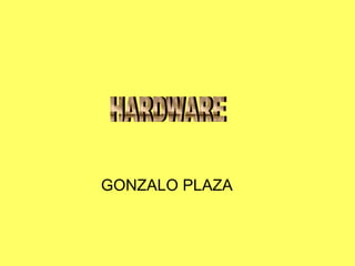 GONZALO PLAZA
 