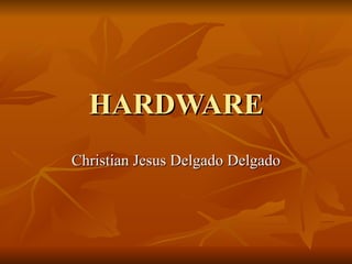 HARDWARE Christian Jesus Delgado Delgado 