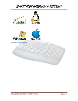 COMPUTADOR HARDWARE Y SOFTWARE




Ilustración 16 sistemas operativos




HERRAMIENTAS BASICAS MICROSOFT WORD    Página 12
 