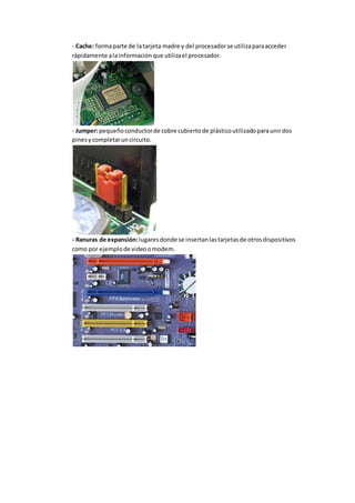 - Cache: forma parte de la tarjeta madre y del procesador se utiliza para acceder 
rápidamente a la información que utiliza el procesador. 
- Jumper: pequeño conductor de cobre cubierto de plástico utilizado para unir dos 
pines y completar un circuito. 
- Ranuras de expansión: lugares donde se insertan las tarjetas de otros dispositivos 
como por ejemplo de video o modem. 
 