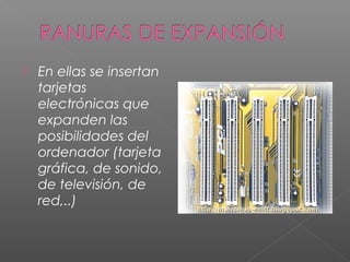  En ellas se insertan
tarjetas
electrónicas que
expanden las
posibilidades del
ordenador (tarjeta
gráfica, de sonido,
de televisión, de
red,..)
 