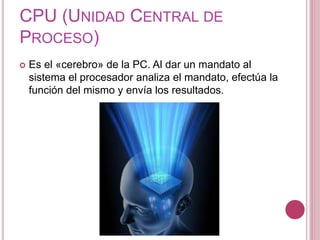 CPU (UNIDAD CENTRAL DE
PROCESO)
 Es el «cerebro» de la PC. Al dar un mandato al
sistema el procesador analiza el mandato, efectúa la
función del mismo y envía los resultados.
 