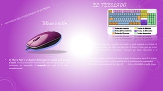 EL TEECLADO
• un teclado es un dispositivo o periférico de entrada, en parte inspirado en el teclado de
las maquinas de escribir, que utiliza una disposición de botones o teclas, para que actúen
como palancas mecánicas o interruptores electrónicos que envían información a la
computadora.
• Después de las tarjetas perforadas y las cintas de papel, la interacción a través de los teclados,
al estilo teletipo,se convirtió en el principal dispositivo de entrada para las computadoras.
El teclado tiene aproximadamente entre 99 y 107 teclas,y está dividido en cuatro bloques:
• El Mouse o Ratón es un dispositivo diseñado para ser manejado con la mano por
el usuario. Funciona moviéndolo (arrastrándolo) sobre una superficie plana. Estos
movimientos son transmitidos al computador por medio de un cable o
inalámbricamente.
Mouse o ratón
 