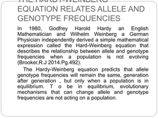 THE HARDY-WEINBERG
EQUATION RELATES ALLELE AND
GENOTYPE FREQUENCIES
In 1980, Godfrey Harold Hardy an English
Mathematician and Wilhelm Weinberg a German
Physician independently derived a simple mathematical
expression called the Hard-Weinberg equation that
describes the relationship between allele and genotype
frequencies when a population is not evolving
(Brooker,R.J 2014.Pg.492).
The Hardy-Weinberg equation predicts that allele
genotype frequencies will remain the same, generation
after generation , but only when a population is in
equilibrium. T o be in equilibrium, evolutionary
mechanisms that can change allele and genotype
frequencies are not acting on a population.
 