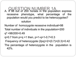 Hardweinberg equation | PPTX