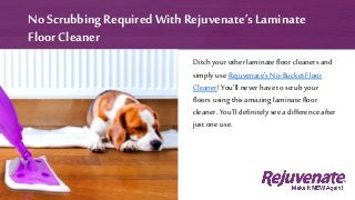 Ditch your other laminatefloor cleaners and
simply use Rejuvenate’s No-Bucket Floor
Cleaner! You’ll never have to scrub your
floors using this amazing laminate floor
cleaner. You’ll definitely see a difference after
just one use.
No Scrubbing Required With Rejuvenate’s Laminate
Floor Cleaner
 