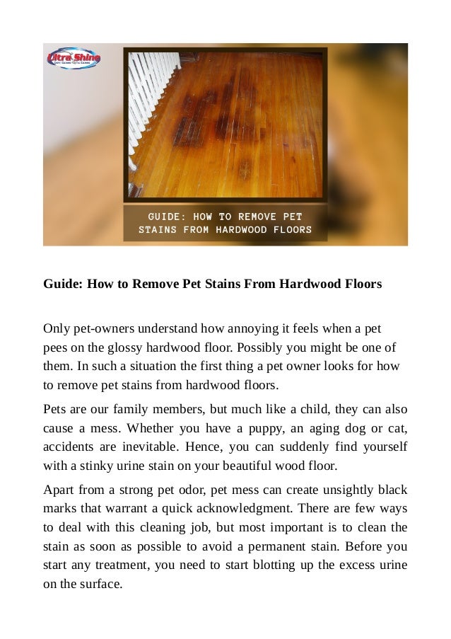 Guide How To Remove Pet Stains From Hardwood Floors