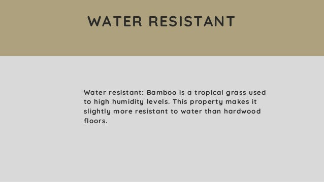 The Advantages And Disadvantages Of Bamboo Flooring Hardwood Floors