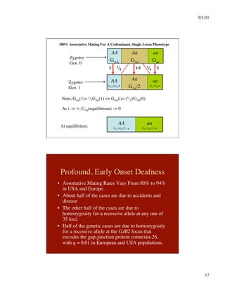 9/1/11

17

100% Assortative Mating For A Codominant, Single Locus Phenotype
1/4

 1/4

Zygotes
Gen. 0
AA
GAA
Aa
GAa
aa
Gaa
AA
GAA+GAa/4
Aa
GAa/2
aa
Gaa+GAa/4
1
 1
1/2
Zygotes
Gen. 1
Note, GAa(1)= 1/2GAa(1) = GAa(i)= (1/2)iGAa(0) 
As i – ∞, GAa(equilibrium) – 0
At equilibrium:
aa
Gaa+GAa/2 = q
AA
GAA+GAa/2 = p
Profound, Early Onset Deafness
•  Assortative Mating Rates Vary From 80% to 94%
in USA and Europe.
•  About half of the cases are due to accidents and
disease
•  The other half of the cases are due to
homozygosity for a recessive allele at any one of
35 loci.
•  Half of the genetic cases are due to homozygosity
for a recessive allele at the GJB2 locus that
encodes the gap-junction protein connexin-26,
with q ≈ 0.01 in European and USA populations.
 