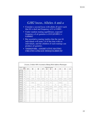 9/1/11

19

GJB2 locus, Alleles A and a
•  Consider a second locus with alleles B and b such
that bb is deaf and frequency of b is 0.0001.
•  Under random mating equilibrium, expected
frequency of ab gametes is (0.01)(0.0001) =
0.000001
•  But assortative mating implies that the rare bb
individuals will mate 1/4 of the time with aa
individuals, and the children of such matings can
produce ab gametes.
•  THEREFORE, ASSORTATIVE MATING
CREATES LINKAGE DISEQUILIBRIUM!
2-Locus, 2-Allele 100% Assortative Mating With Additive Phenotypes
 