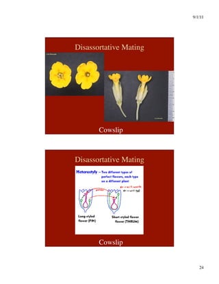 9/1/11

24

Disassortative Mating
Cowslip
Disassortative Mating
Cowslip
 