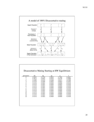 9/1/11

25

A model of 100% Disassortative mating
Disassortative Mating Starting at HW Equilibrium
generation AA Aa aa p f
0 0.5625 0.3750 0.0625 0.7500 0.0000
1 0.3913 0.5652 0.0435 0.6739 -0.2860
2 0.4209 0.5324 0.0468 0.6871 -0.2380
3 0.4170 0.5366 0.0463 0.6853 -0.2442
4 0.4176 0.5361 0.0464 0.6856 -0.2434
5 0.4175 0.5361 0.0464 0.6855 -0.2435
6 0.4175 0.5361 0.0464 0.6856 -0.2435
7 0.4175 0.5361 0.0464 0.6856 -0.2435
8 0.4175 0.5361 0.0464 0.6856 -0.2435
9 0.4175 0.5361 0.0464 0.6856 -0.2435
10 0.4175 0.5361 0.0464 0.6856 -0.2435
11 0.4175 0.5361 0.0464 0.6856 -0.2435
12 0.4175 0.5361 0.0464 0.6856 -0.2435
13 0.4175 0.5361 0.0464 0.6856 -0.2435
 