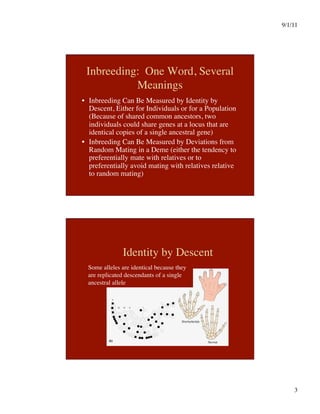 9/1/11

3

Inbreeding: One Word, Several
Meanings
•  Inbreeding Can Be Measured by Identity by
Descent, Either for Individuals or for a Population
(Because of shared common ancestors, two
individuals could share genes at a locus that are
identical copies of a single ancestral gene)
•  Inbreeding Can Be Measured by Deviations from
Random Mating in a Deme (either the tendency to
preferentially mate with relatives or to
preferentially avoid mating with relatives relative
to random mating)
Identity by Descent
Some alleles are identical because they
are replicated descendants of a single
ancestral allele 
 