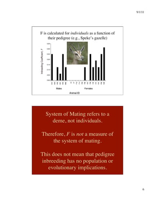 9/1/11

6

F is calculated for individuals as a function of
their pedigree (e.g., Speke’s gazelle)
Animal ID
Males Females
0.35
0.30
0.25
0.20
0.15
0.10
0.05
0.00
System of Mating refers to a
deme, not individuals.
Therefore, F is not a measure of
the system of mating.
This does not mean that pedigree
inbreeding has no population or
evolutionary implications.
 