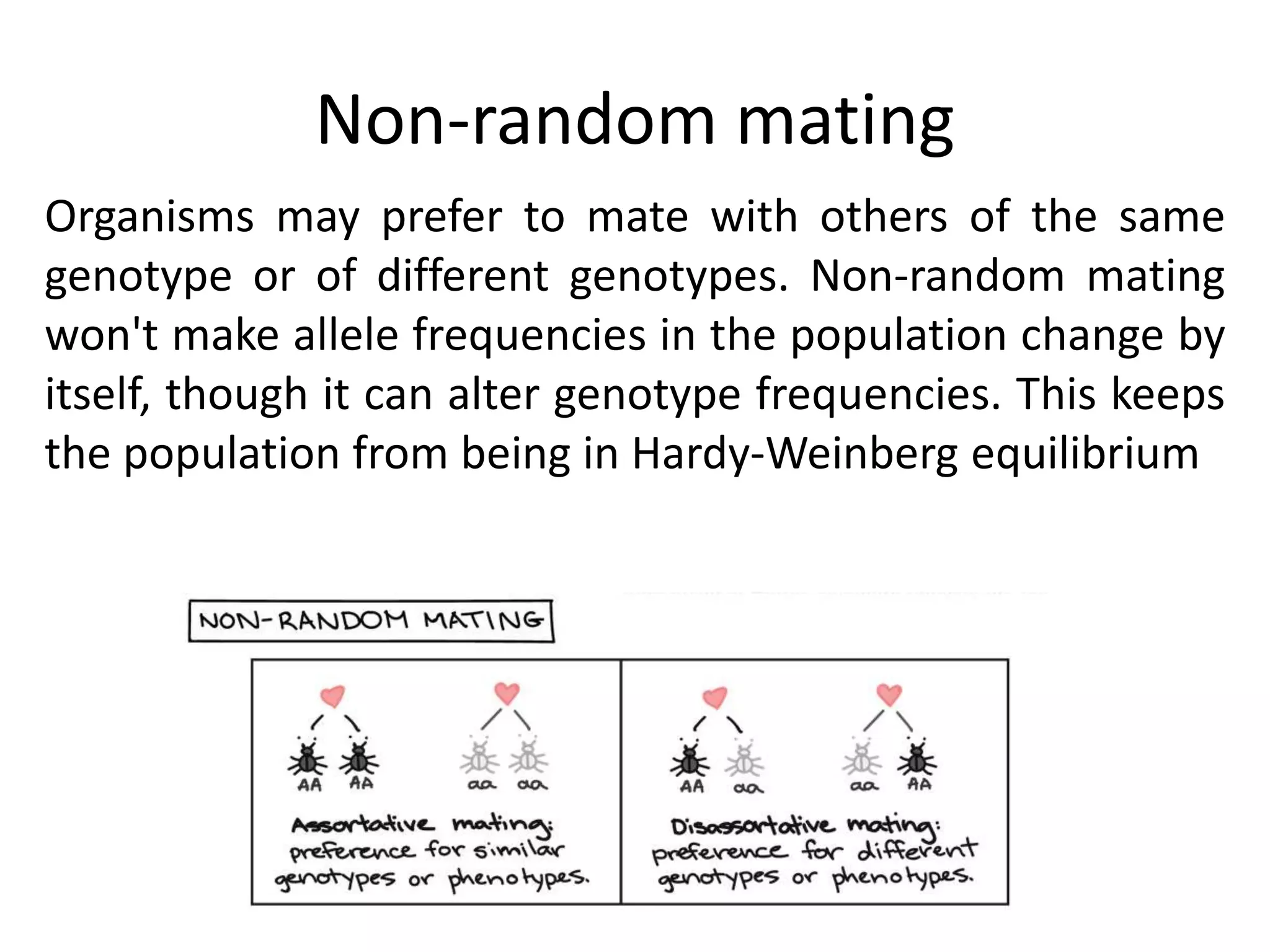 Hardy-weinberg principle | PPTX