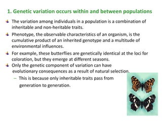 Phenotypically Variable Within Population Example Hardy-Weinberg principle_Birhan Kassa.pptx