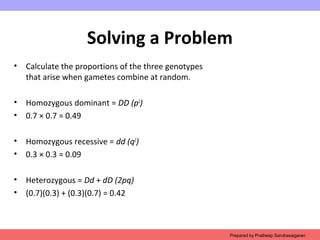Solving a Problem
• Calculate the proportions of the three genotypes
that arise when gametes combine at random.
• Homozygous dominant = DD (p2
)
• 0.7 × 0.7 = 0.49
• Homozygous recessive = dd (q2
)
• 0.3 × 0.3 = 0.09
• Heterozygous = Dd + dD (2pq)
• (0.7)(0.3) + (0.3)(0.7) = 0.42
Prepared by Pratheep Sandrasaigaran
 