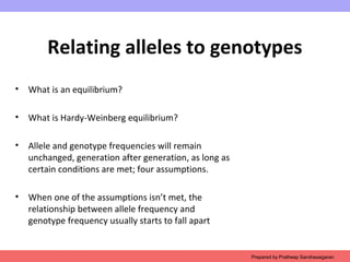Relating alleles to genotypes
• What is an equilibrium?
• What is Hardy-Weinberg equilibrium?
• Allele and genotype frequencies will remain
unchanged, generation after generation, as long as
certain conditions are met; four assumptions.
• When one of the assumptions isn’t met, the
relationship between allele frequency and
genotype frequency usually starts to fall apart
Prepared by Pratheep Sandrasaigaran
 