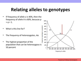 Relating alleles to genotypes
• If frequency of allele a is 40%, then the
frequency of allele A is 60%, because p
+ q = 1.
• What is this line for?
• The frequency of heterozygotes, Aa.
• The highest proportion of the
population that can be heterozygous is
50 percent
Prepared by Pratheep Sandrasaigaran
 