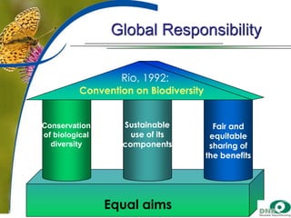 Global Responsibility
Rio, 1992:
Convention on Biodiversity

Conservation
of biological
diversity

Sustainable
use of its
components

Equal aims

Fair and
equitable
sharing of
the benefits

 