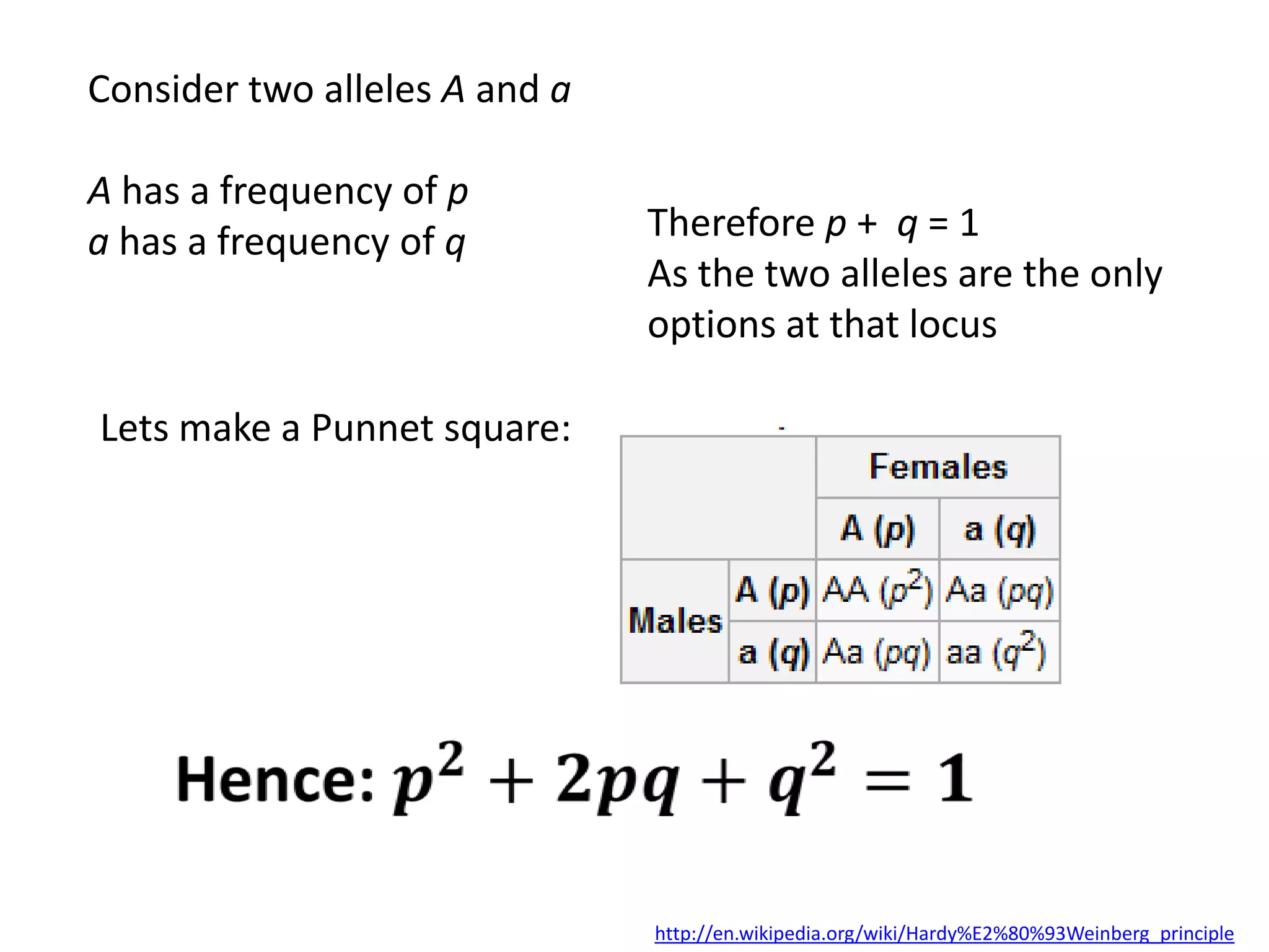 IB Biology Option D.4: Hardy Weinberg Principle | PPTX