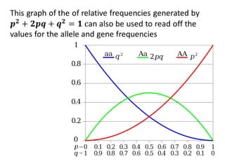 IB Biology Option D.4: Hardy Weinberg Principle | PPTX