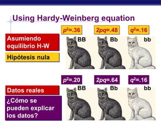 Using Hardy-Weinberg equation
                  p2=.36    2pq=.48   q2=.16
Asumiendo              BB       Bb        bb
equilibrio H-W
Hipótesis nula


                  p2=.20
                    =.74    2pq=.64
                            2pq=.10   q2=.16
Datos reales           BB       Bb         bb

¿Cómo se
pueden explicar
los datos?
AP Biology
 