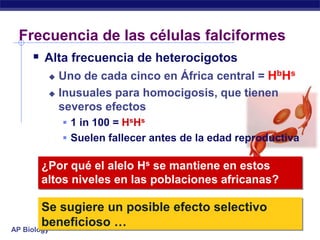 Frecuencia de las células falciformes
    Alta frecuencia de heterocigotos
       Uno de cada cinco en África central = HbHs
       Inusuales para homocigosis, que tienen
        severos efectos
           1 in 100 = HsHs
           Suelen fallecer antes de la edad reproductiva

     ¿Por qué el alelo Hs se mantiene en estos
     altos niveles en las poblaciones africanas?

        Se sugiere un posible efecto selectivo
        beneficioso …
AP Biology
 