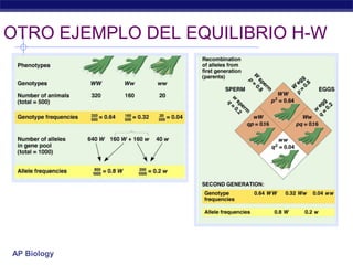 OTRO EJEMPLO DEL EQUILIBRIO H-W




AP Biology
 