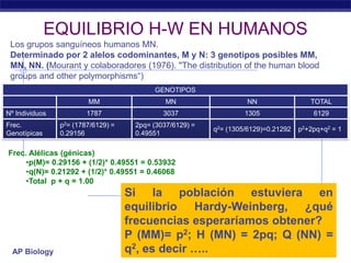 EQUILIBRIO H-W EN HUMANOS
 Los grupos sanguíneos humanos MN.
 Determinado por 2 alelos codominantes, M y N: 3 genotipos posibles MM,
 MN, NN. (Mourant y colaboradores (1976). "The distribution of the human blood
 groups and other polymorphisms“)
                                          GENOTIPOS
                        MM                    MN                    NN                 TOTAL
Nº Individuos           1787                 3037                  1305                 6129
Frec.           p2= (1787/6129) =    2pq= (3037/6129) =
                                                          q2= (1305/6129)=0.21292   p2+2pq+q2 = 1
Genotípicas     0.29156              0.49551

Frec. Alélicas (génicas)
     •p(M)= 0.29156 + (1/2)* 0.49551 = 0.53932
     •q(N)= 0.21292 + (1/2)* 0.49551 = 0.46068
     •Total p + q = 1.00
                                    Si la población estuviera en
                                    equilibrio Hardy-Weinberg, ¿qué
                                    frecuencias esperaríamos obtener?
                                    P (MM)= p2; H (MN) = 2pq; Q (NN) =
  AP Biology                        q2, es decir …..            2005-2006
 