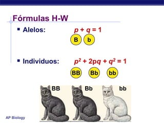 Fórmulas H-W
     Alelos:   p+q=1
                     B    b


      Individuos:   p2 + 2pq + q2 = 1
                     BB    Bb   bb

               BB         Bb         bb



AP Biology
 