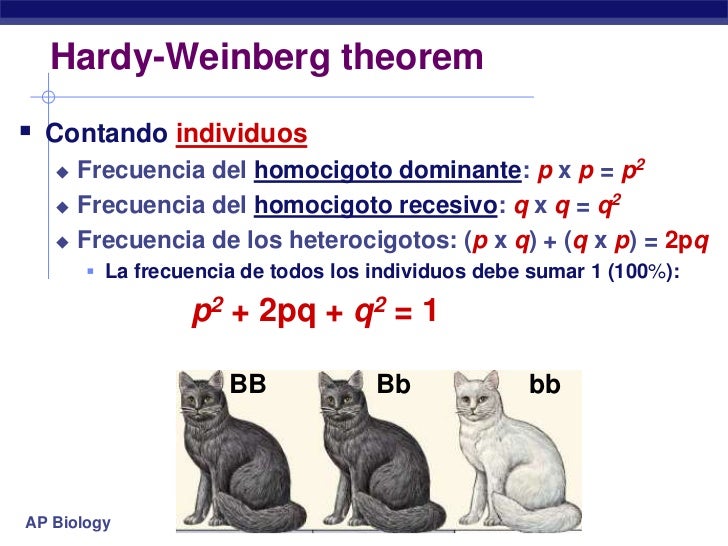 Задачи харди вайнберга егэ 2024 биология. Задачи на закон Харди Вайнберга. Задачи на Харди Вайнберга с решением. Задачи на уравнение Харди Вайнберга с решением. Закон Харди-Вайнберга это в генетике решение задач.
