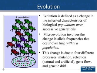 Microevolution Changing Allele Frequencies | PPT