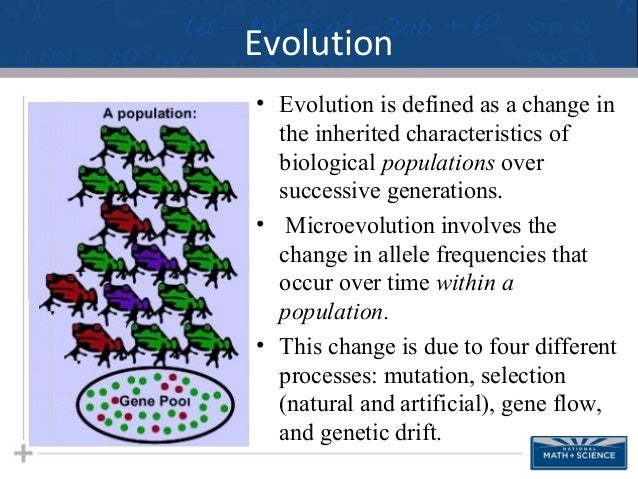 What Does Evolution By Natural Selection Result What Does Evolution By Natural Selection Result
