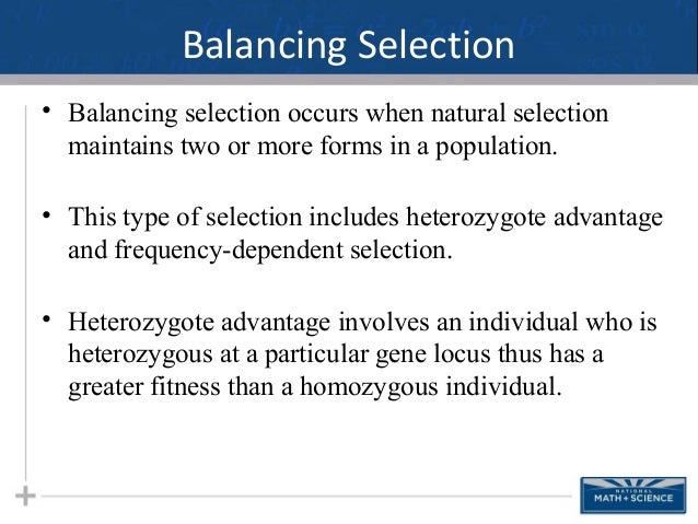 Why Is Inheritance Important In Natural Selection Why Is Inheritance Important In Natural Selection