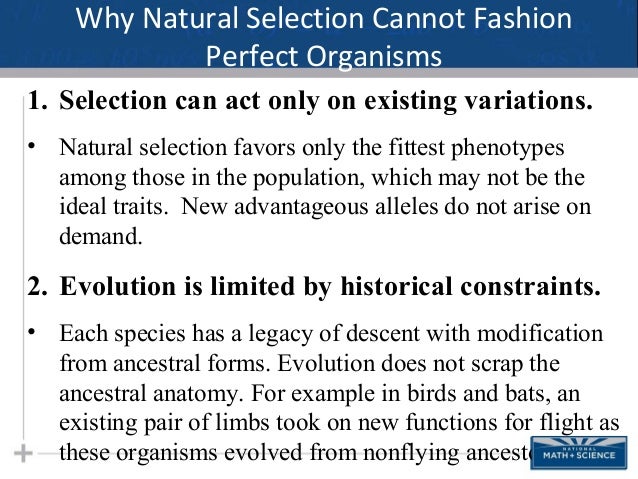 Natural Selection Favors Those Organisms That Natural Selection Favors Those Organisms That
