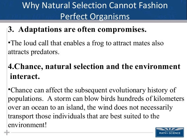 How Does Environment Affect Natural Selection How Does Environment Affect Natural Selection