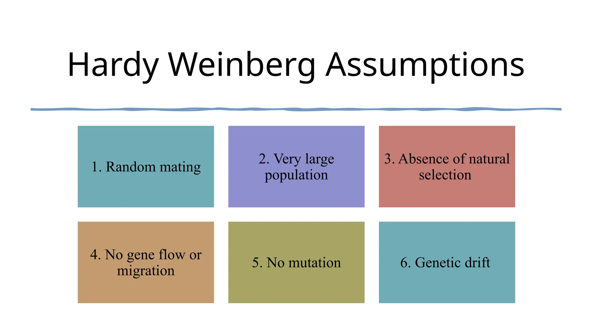 Hardy Weinberg Assumptions
1. Random mating
2. Very large
population
3. Absence of natural
selection
4. No gene flow or
migration
5. No mutation 6. Genetic drift
 