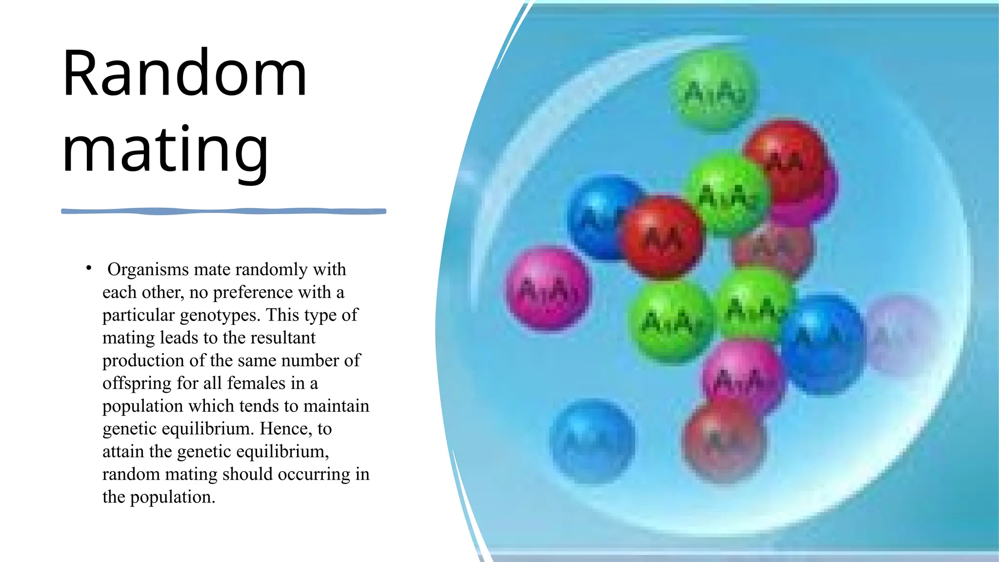 Random
mating
• Organisms mate randomly with
each other, no preference with a
particular genotypes. This type of
mating leads to the resultant
production of the same number of
offspring for all females in a
population which tends to maintain
genetic equilibrium. Hence, to
attain the genetic equilibrium,
random mating should occurring in
the population.
 