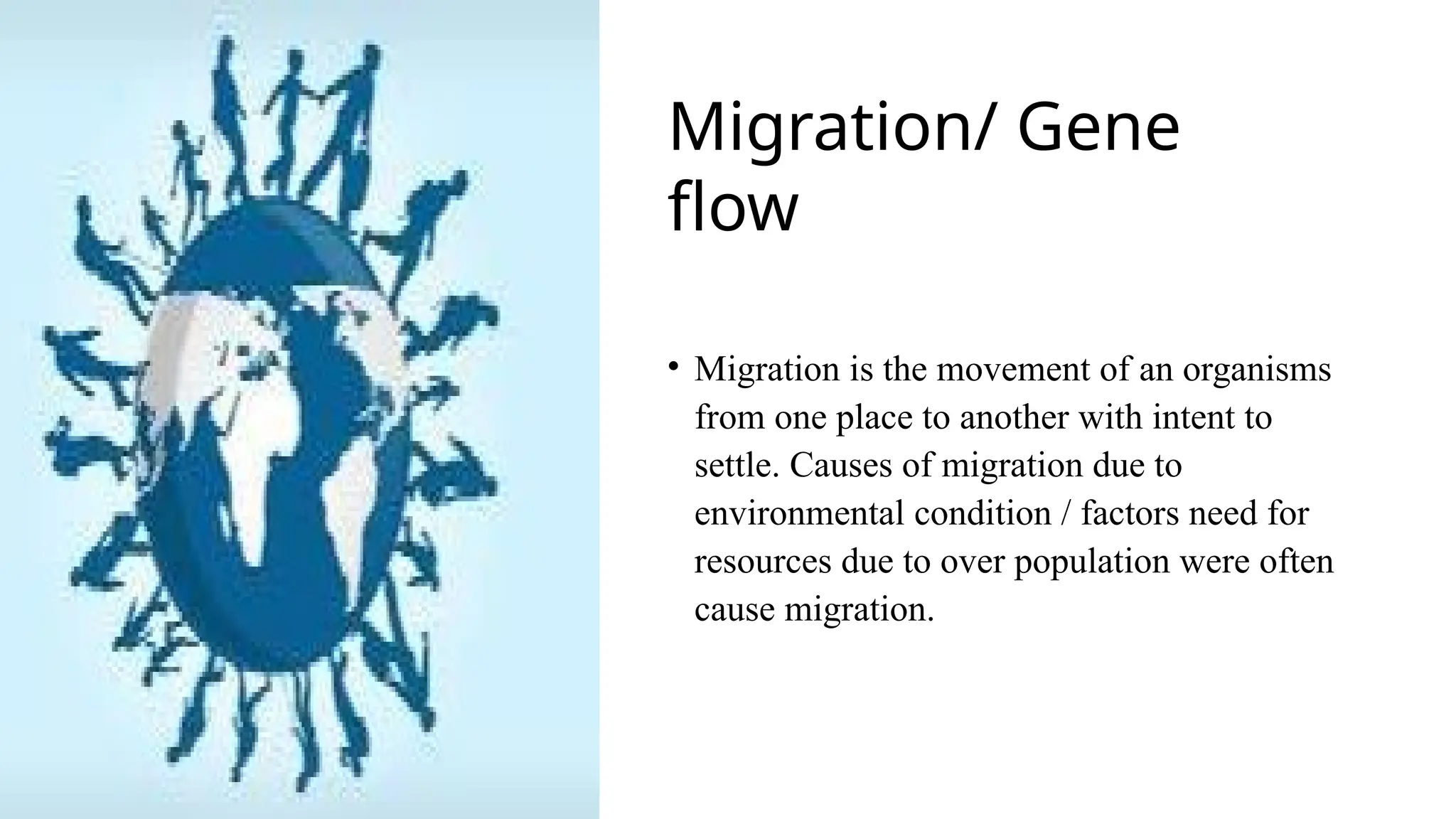 • Migration is the movement of an organisms
from one place to another with intent to
settle. Causes of migration due to
environmental condition / factors need for
resources due to over population were often
cause migration.
M
Migration/ Gene
flow
 