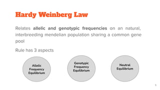 Hardy Weinberg law | PDF