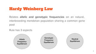 Hardy Weinberg Law
Relates allelic and genotypic frequencies on an natural,
interbreeding mendelian population sharing a c...