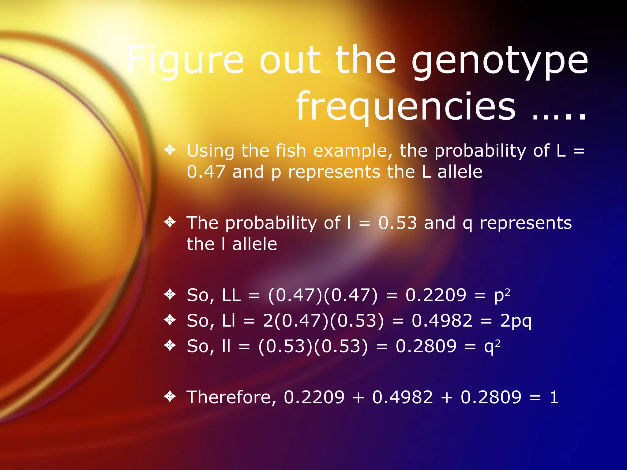 Figure out the genotype frequencies ….. Using the fish example, the probability of L = 0.47 and p represents the L allele The probability of l = 0.53 and q represents the l allele So, LL = (0.47)(0.47) = 0.2209 = p 2 So, Ll = 2(0.47)(0.53) = 0.4982 = 2pq So, ll = (0.53)(0.53) = 0.2809 = q 2 Therefore, 0.2209 + 0.4982 + 0.2809 = 1 
