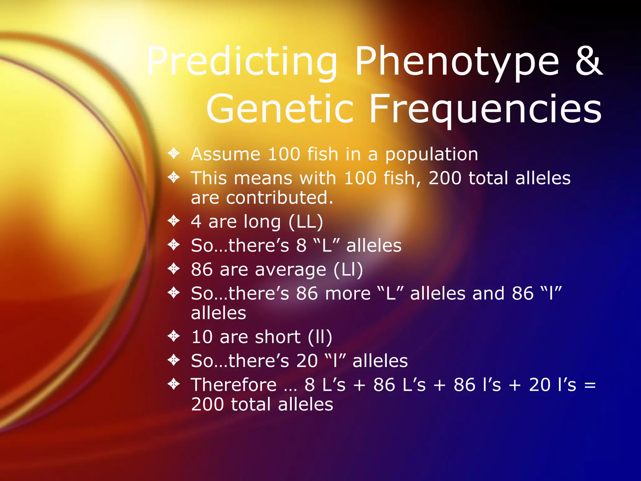 Predicting Phenotype & Genetic Frequencies Assume 100 fish in a population This means with 100 fish, 200 total alleles are contributed. 4 are long (LL) So…there’s 8 “L” alleles 86 are average (Ll) So…there’s 86 more “L” alleles and 86 “l” alleles 10 are short (ll) So…there’s 20 “l” alleles Therefore … 8 L’s + 86 L’s + 86 l’s + 20 l’s = 200 total alleles 