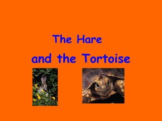 and the Tortoise
The Hare
 