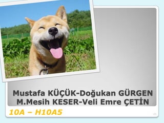 Mustafa KÜÇÜK-Doğukan GÜRGEN
  M.Mesih KESER-Veli Emre ÇETİN
10A – H10A5                       23
 