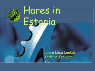 Hares in Estonia Laura Liisa Lankei Kadrina Keskkool 7.a 